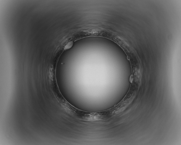 X0000116620612200912181306