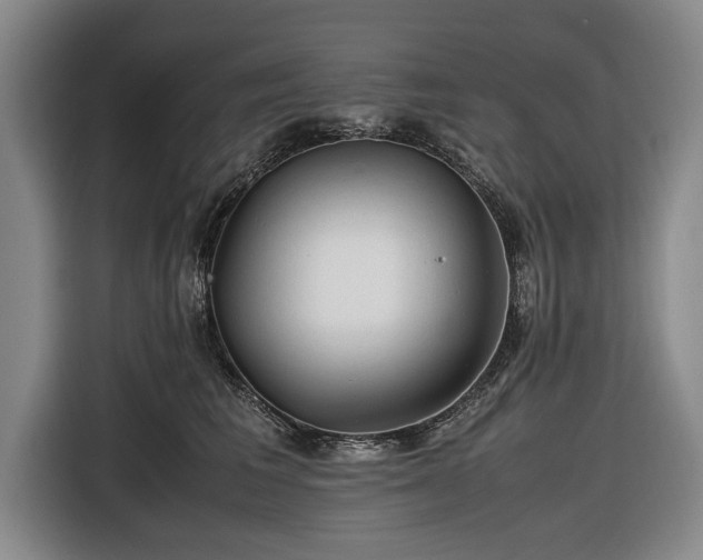 X0000116620613200912181306