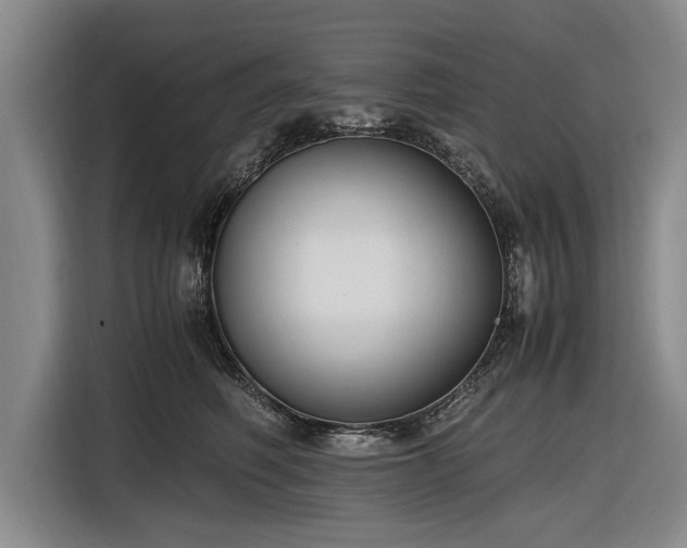 X0000116620614200912181306