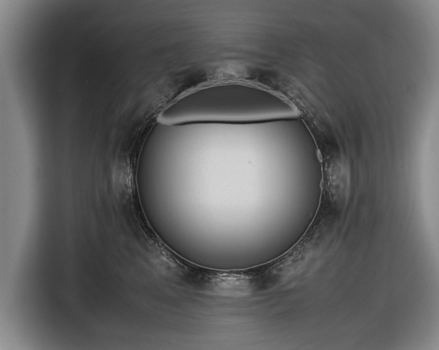 X0000116620617200912181306