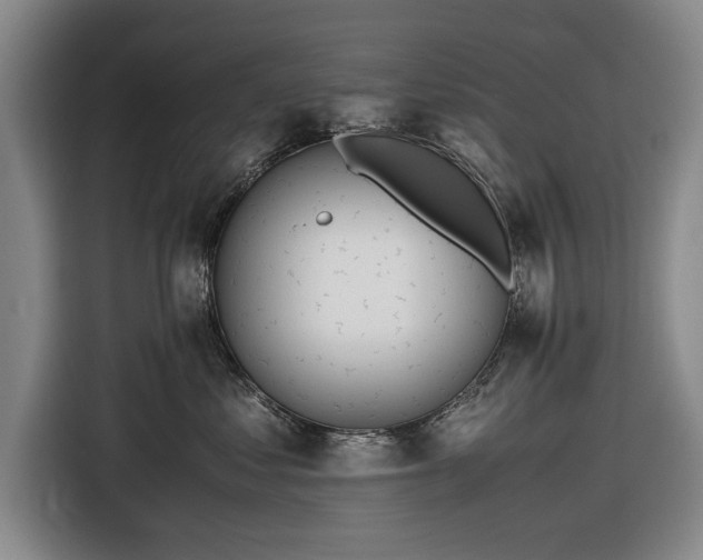 X0000116620621200912181306