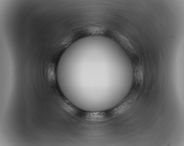 X0000116620622200912181306