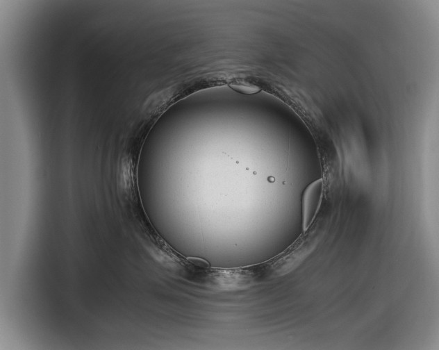 X0000116620623200912181306