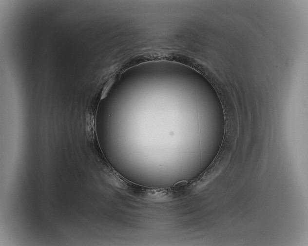 X0000116620624200912181306