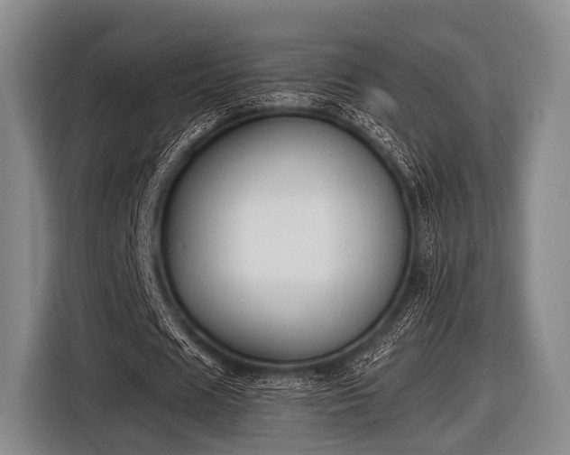 X0000116620625200912181305