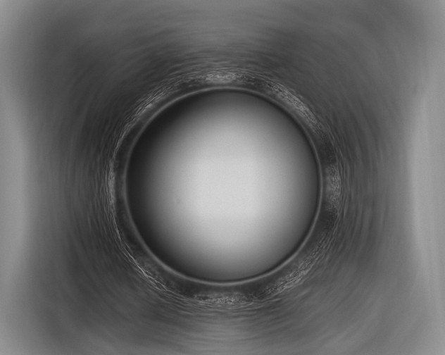 X0000116620626200912181305