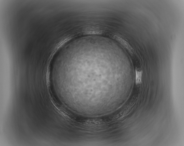 X0000116620627200912181305