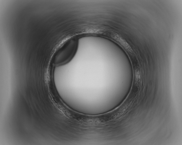 X0000116620628200912181305