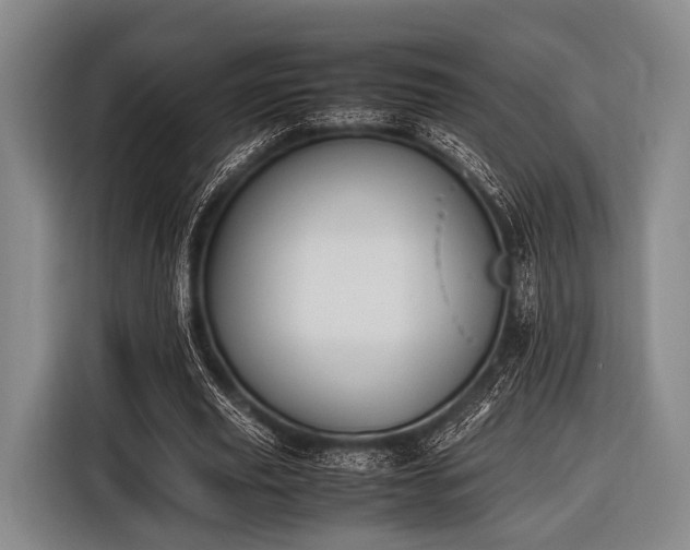 X0000116620629200912181305