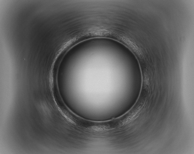 X0000116620630200912181305