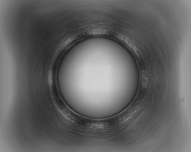 X0000116620631200912181305