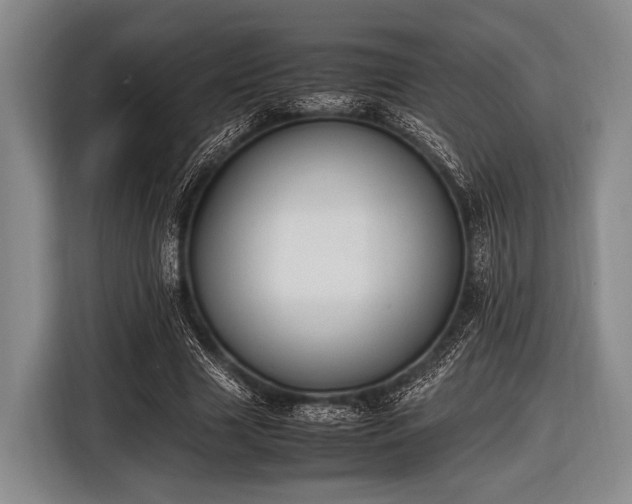 X0000116620633200912181305