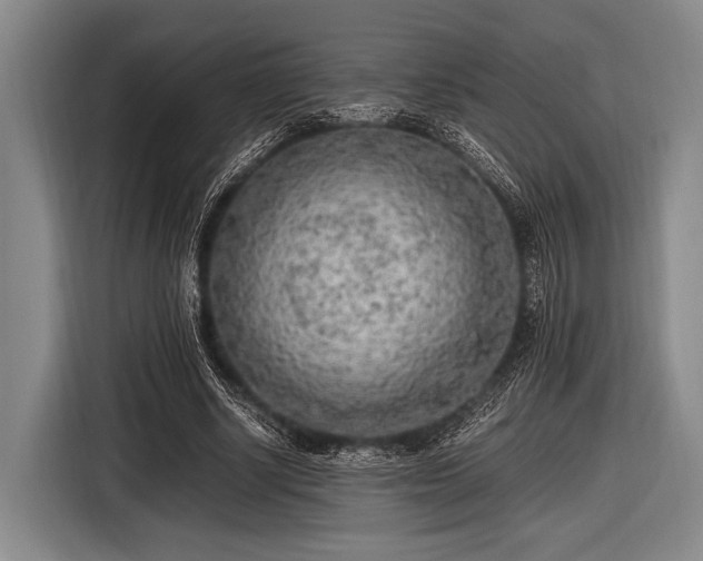 X0000116620634200912181305