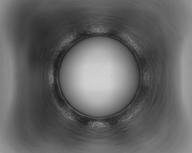 X0000116620635200912181305