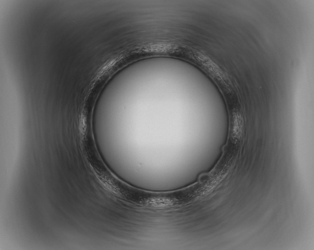 X0000116620636200912181305