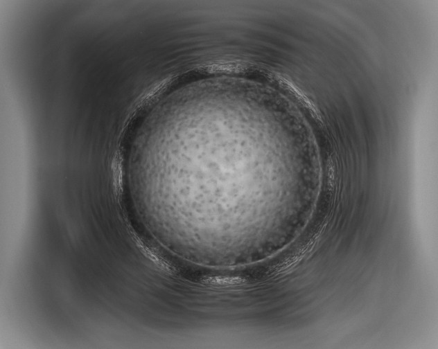 X0000116620637200912181305