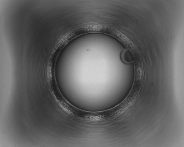 X0000116620638200912181306