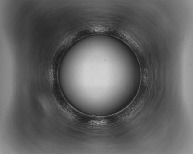 X0000116620639200912181306