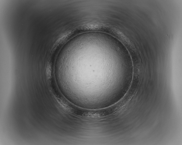 X0000116620640200912181306