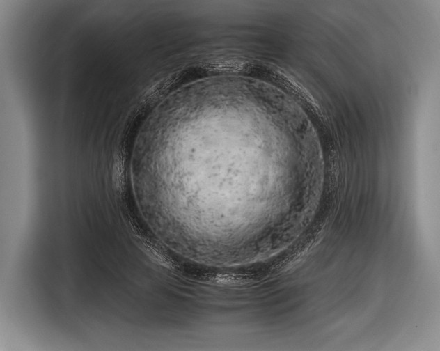 X0000116620641200912181306