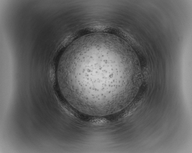 X0000116620642200912181306