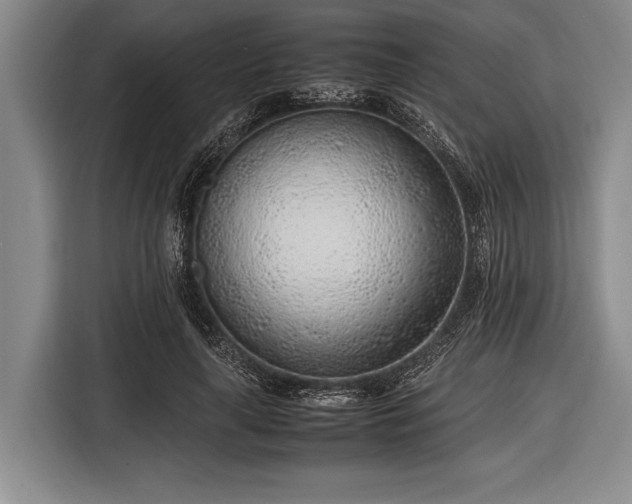 X0000116620643200912181306