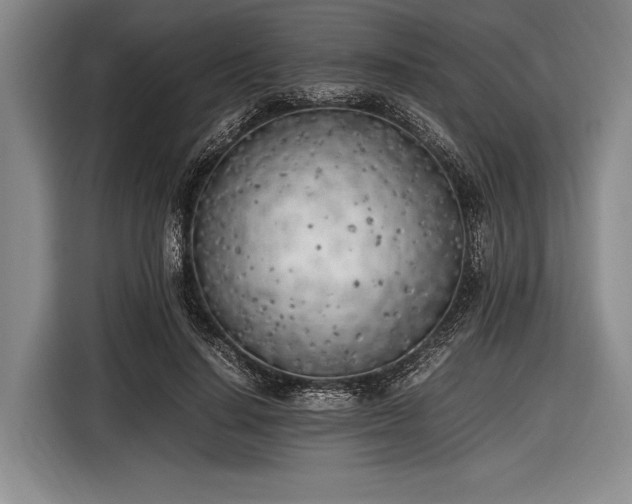 X0000116620644200912181306
