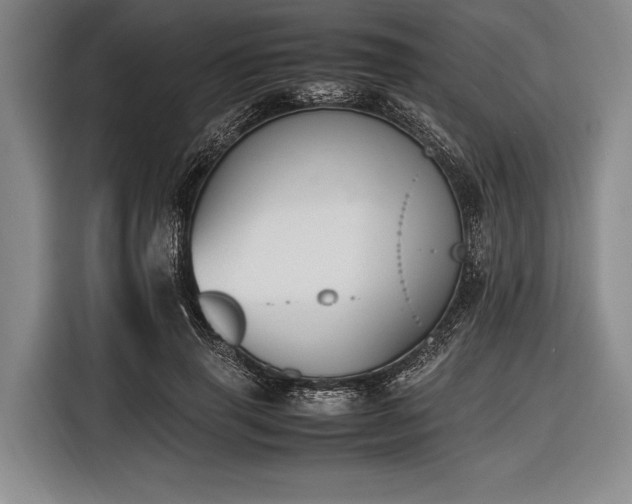 X0000116620645200912181306