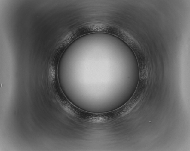 X0000116620646200912181306