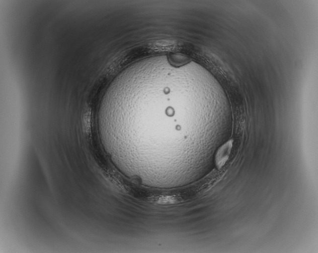 X0000116620647200912181306