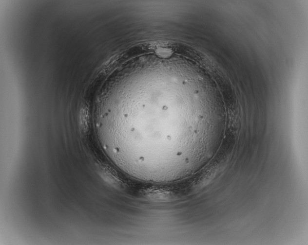 X0000116620648200912181306