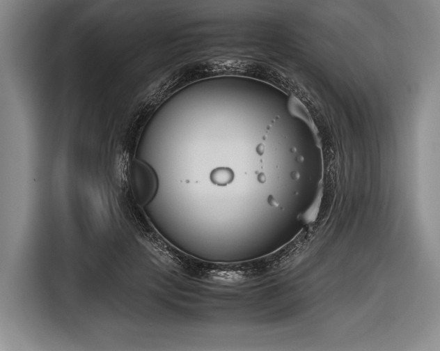 X0000116620649200912181306