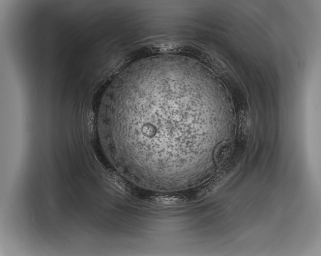 X0000116620650200912181306