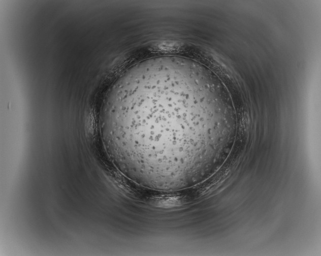 X0000116620651200912181306