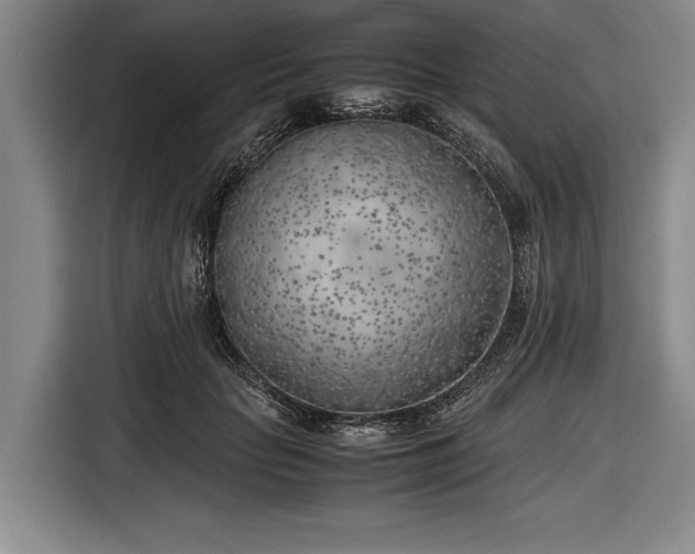 X0000116620653200912181306