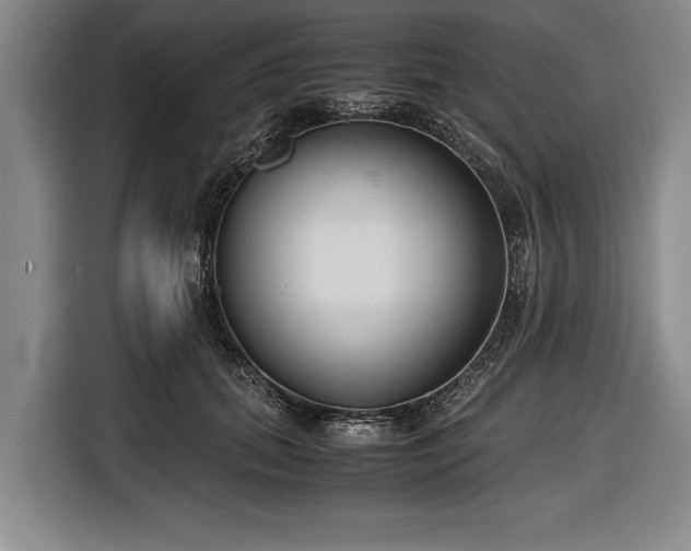 X0000116620655200912181306