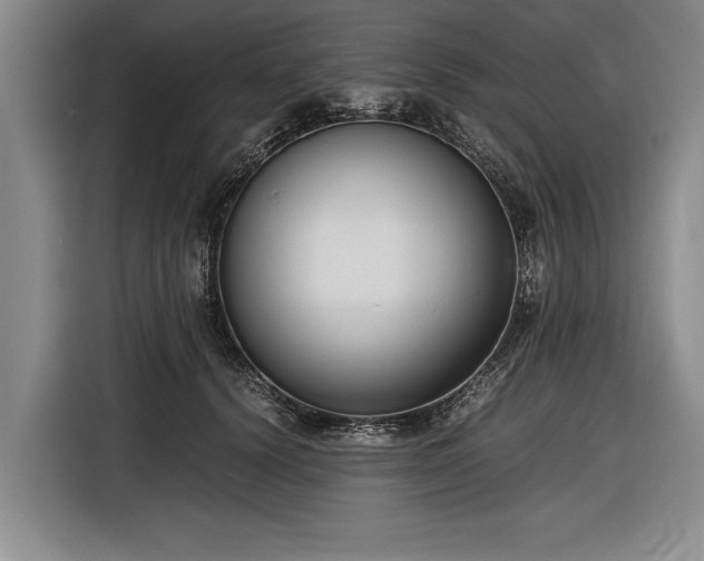 X0000116620656200912181306