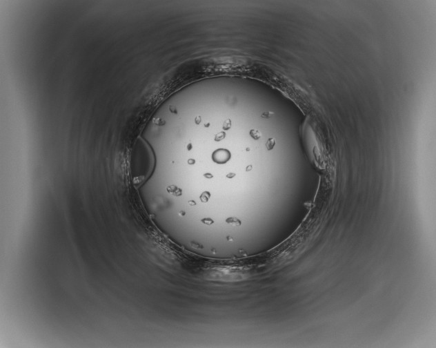 X0000116620657200912181306