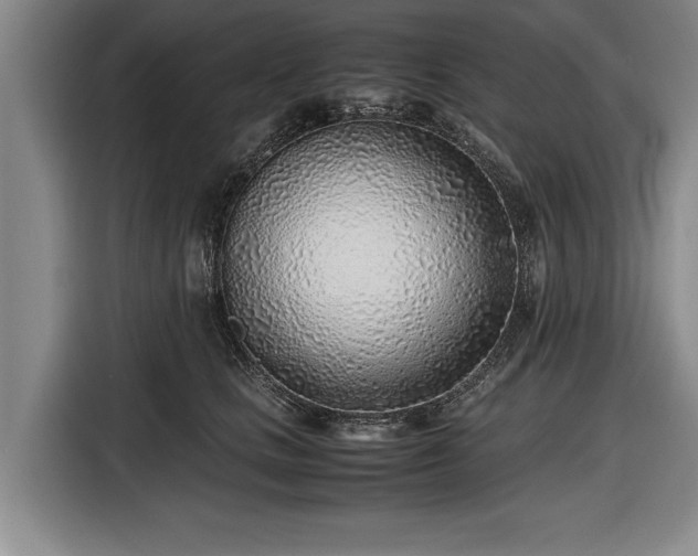 X0000116620661200912181306