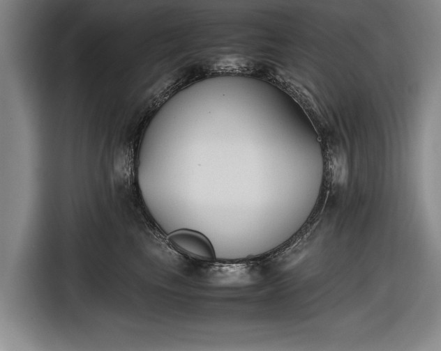 X0000116620665200912181306