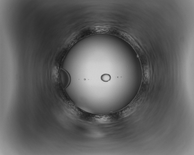 X0000116620667200912181306