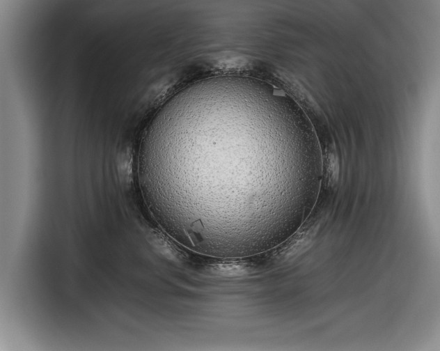 X0000116620668200912181306