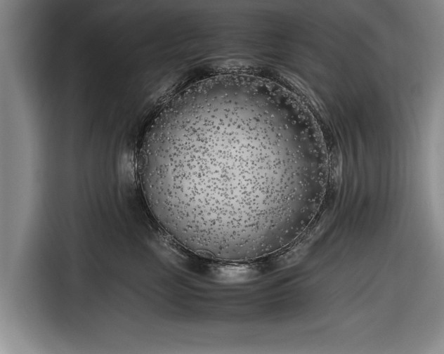 X0000116620669200912181306