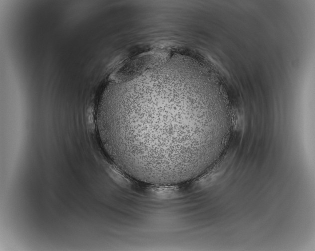 X0000116620670200912181306