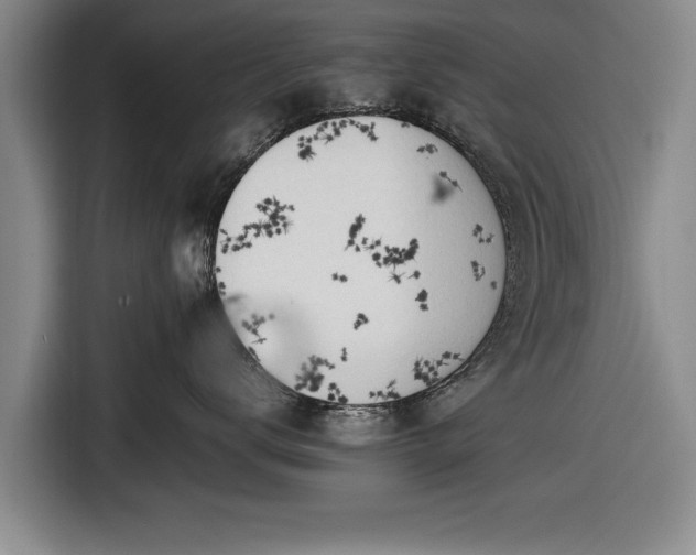 X0000116620672200912181306