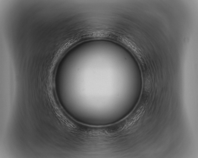 X0000116620673200912181305