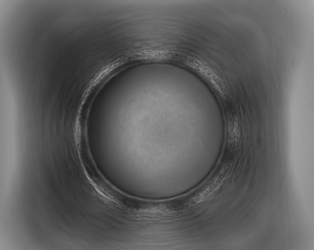 X0000116620674200912181305