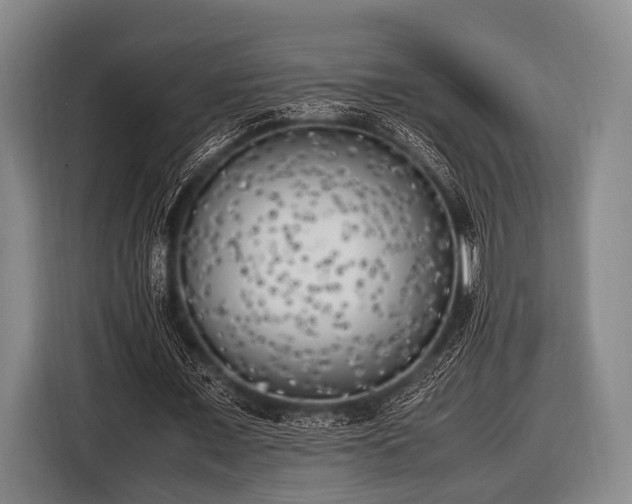 X0000116620675200912181305