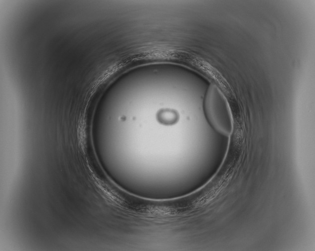 X0000116620677200912181305