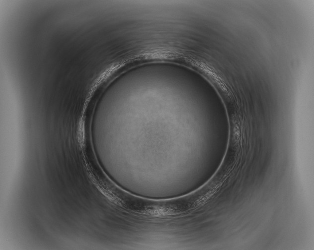 X0000116620678200912181305